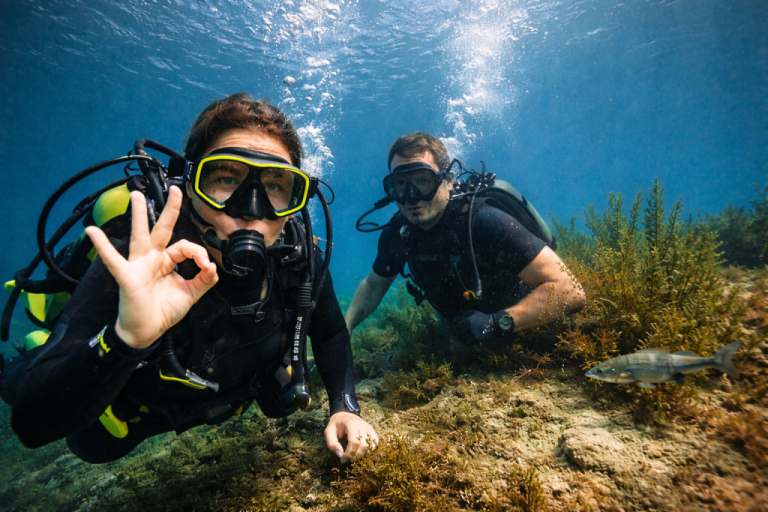 Pod gladino (in nad njo): drugačen team building na Bledu