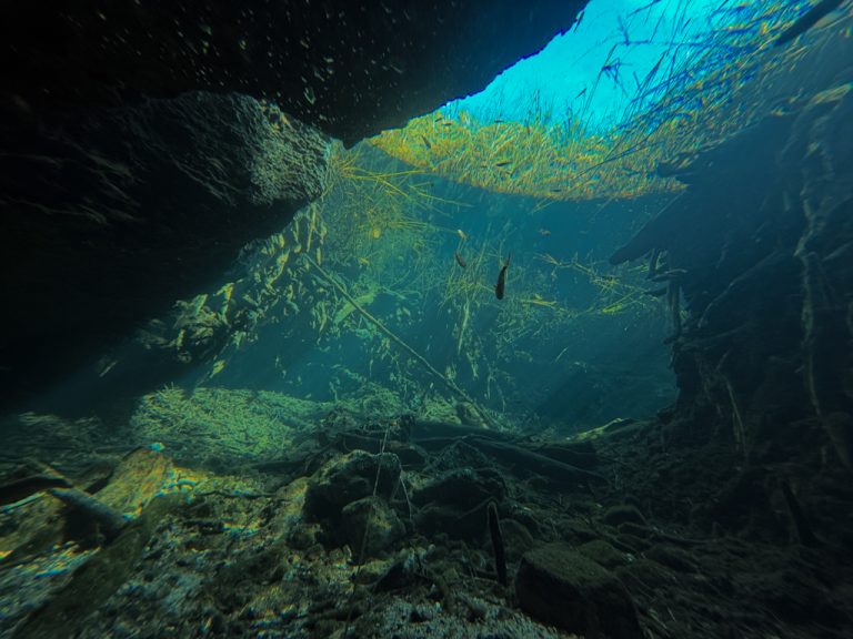 Jamsko potapljanje – Cenote Vaca Ha